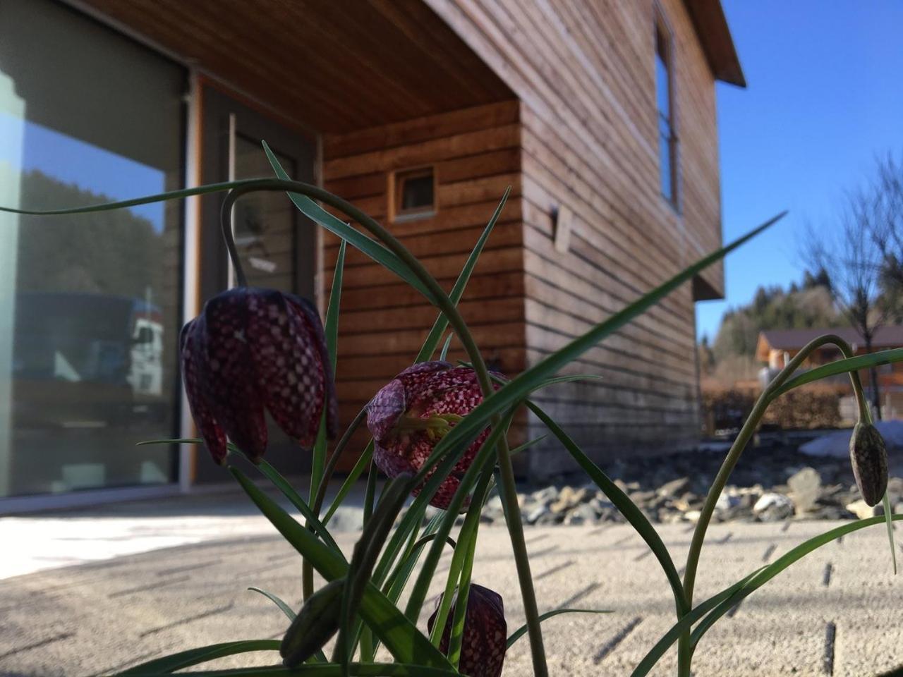 Gaestewohnung Zum Atelier Immenstadt im Allgäu Εξωτερικό φωτογραφία